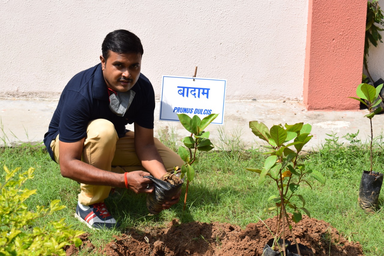 World Environment Day